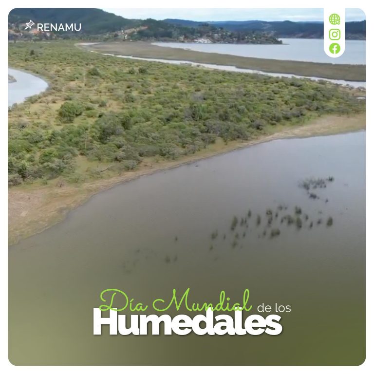 ¡Hoy celebramos el Día Mundial de los Humedales!