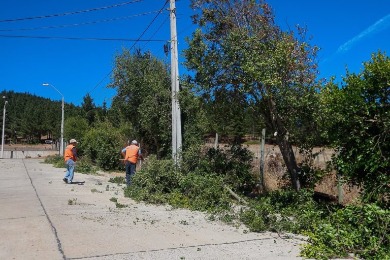 Equipo de Aseo y Ornato sigue realizando operativo en Boyeruca, Mejorando Espacios Públicos
